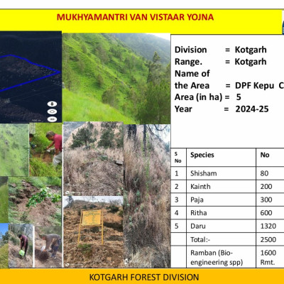 Kotgarh Forest Divison